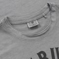 Koszulka męska Pitbull Shkull Logo grey 6