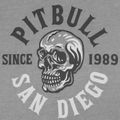 Koszulka męska Pitbull Shkull Logo grey 7