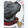 Koszulka męska Pitbull Strenght & Respect white 5