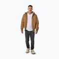 Kurtka zimowa męska Pitbull Elkwood 3 Sherpa Hooded honney yellow 2