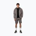 Bluza męska Pitbull Dogwood Hooded Zip Sweatshirt taupe 2