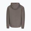 Bluza męska Pitbull Dogwood Hooded Zip Sweatshirt taupe 6