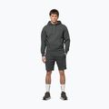 Bluza męska Pitbull Sampson Hooded Sweatshirt grey/green 2