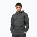 Bluza męska Pitbull Sampson Hooded Sweatshirt grey/green 4