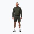 Bluza męska Pitbull Tape Parker Crewneck old green 2