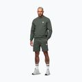 Spodenki męskie Pitbull Nugget Small Logo sage green 2