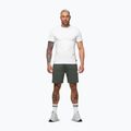 Spodenki męskie Pitbull Nugget Small Logo sage green 4