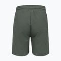 Spodenki męskie Pitbull Nugget Small Logo sage green 7