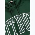 Bluza męska Pitbull Badger Hooded hunter green 5