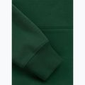 Bluza męska Pitbull Badger Hooded hunter green 9