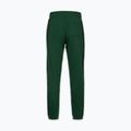 Spodnie męskie Pitbull Badger Track hunter green 5