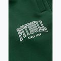 Spodnie męskie Pitbull Badger Track hunter green 9