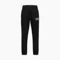 Spodnie męskie Pitbull Badger Track black 4