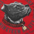 Bluza męska Pitbull Strenght & Respect Sweatshirt Hooded red 9