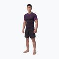 Rashguard męski Pitbull Belt Rashguard purple 2