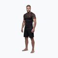 Rashguard męski Pitbull Belt Rashguard brown 2
