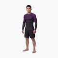 Rashguard longsleeve męski Pitbull Belt Rashguard purple 2