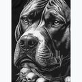 Rashguard męski Pitbull Blacky Rashguard black 9