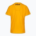 Koszulka męska Pitbull Logo Palms mesh yellow 5
