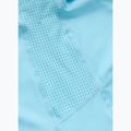 Koszulka męska Pitbull Logo Palms mesh light blue 9