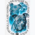 Koszulka męska Pitbull Protector white 11