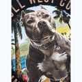 Koszulka męska Pitbull Beach Boy black 11
