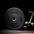 Obciążenie bumperowe olimpijskie XTREXO TRX-BMP010 10 kg czarne 7