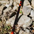 Kije trekkingowe KADVA Tengri regulowane czerwony 13