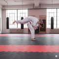 Mata Puzzle HOOK FIGHTING Tatami czerwony 3