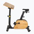 Rower elektryczny XTREXO EB400-desk z biurkiem czarny 3