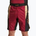 Spodenki treningowe męskie HOOK FIGHTING Ready To Spar czerwony 2