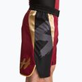 Spodenki treningowe męskie HOOK FIGHTING Ready To Spar czerwony 5