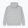 Bluza męska MANTO Logo Hoody szary 2