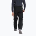 Spodnie trekkingowe męskie Arcteryx Beta black 3