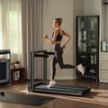 Bieżnia elektryczna Kingsmith MX16+ WalkingPad czarny/szary 16