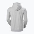 Bluza męska Helly Hansen Nord Graphic Pullover Hoodie grey melang 2