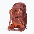 Plecak turystyczny damski Helly Hansen Relay Recco 42 l dark cedar 2