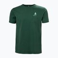 Koszulka męska Helly Hansen Shoreline 3.0 jungle green 4