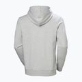 Bluza męska Helly Hansen HH Logo Hoodie grey/melange 6