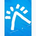Koszulka męska Peak Performance Explore Graphic brilliant blue 6