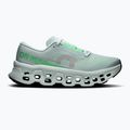 Buty do biegania damskie On Cloudmonster 3 brook/flurry 8