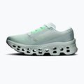 Buty do biegania damskie On Cloudmonster 3 brook/flurry 9