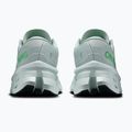 Buty do biegania damskie On Cloudmonster 3 brook/flurry 10