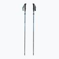 Kije trekkingowe Black Diamond Distance Carbon Flz desert sky