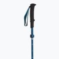 Kije trekkingowe Black Diamond Distance Carbon Flz desert sky 2