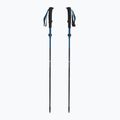 Kije trekkingowe Black Diamond Distance Carbon Flz desert sky 5