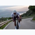 Spodenki rowerowe męskie Northwave Fast Bibshort grape wine 4