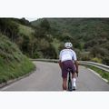 Spodenki rowerowe męskie Northwave Fast Bibshort grape wine 5