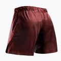 Spodenki treningowe męskie Hayabusa Core Fight Mid red 2