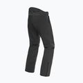 Spodnie narciarskie męskie Dainese Dermizax Ev stretch/limo 8